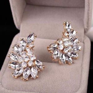 Rhinestone Overlay Wings Stud Earrings (white)